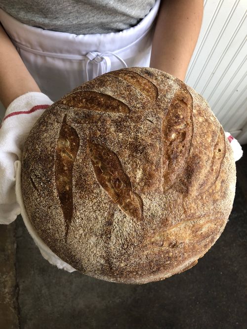 SoudoughWholeWheat.jpg