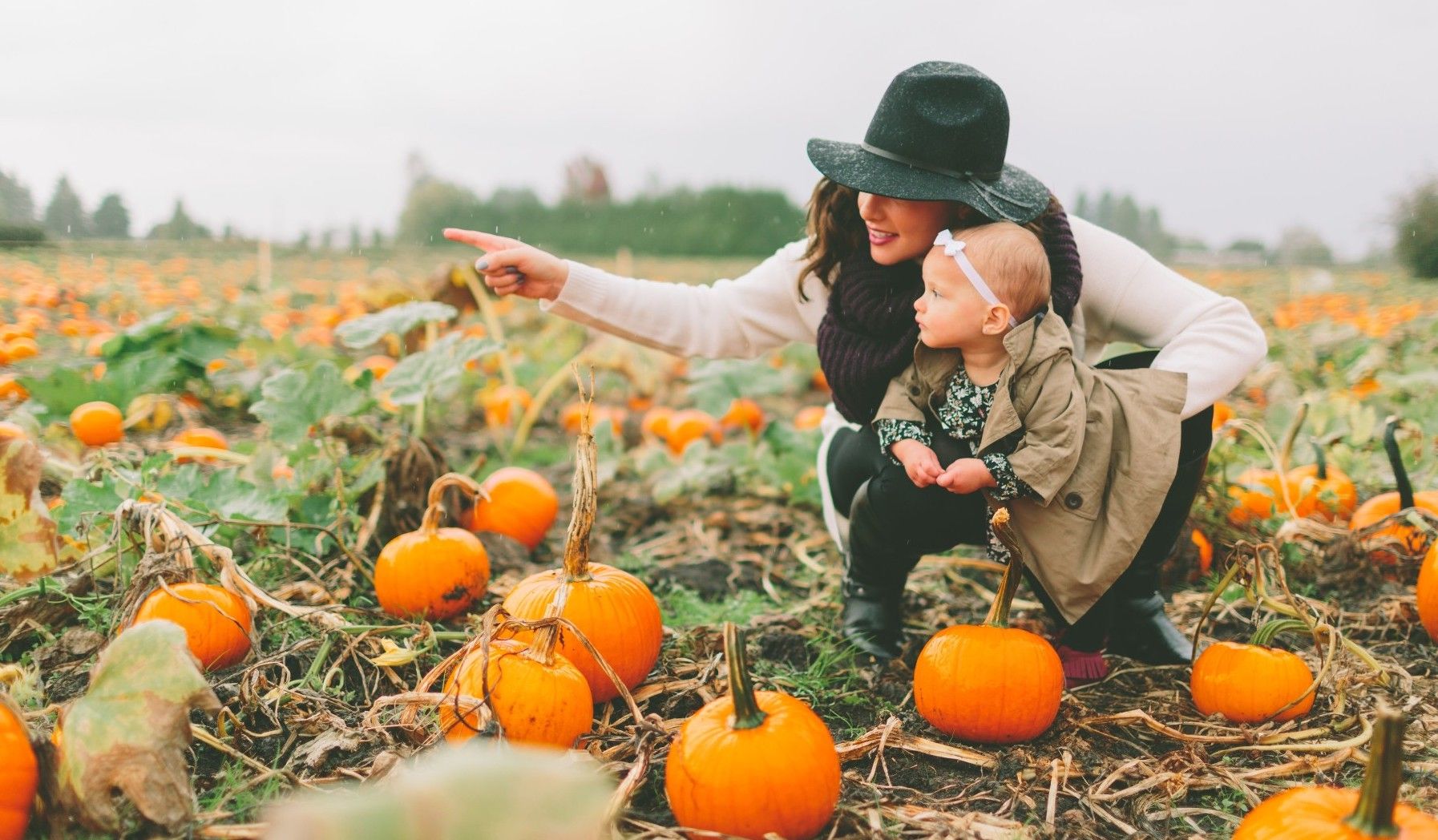 autumn-autumn-pointing-girl-baby-mother-fall-fall-daughter-pumpkins-pumpkin-patch_t20_eoKyVW.jpg