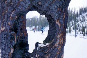 Burns make for great photos