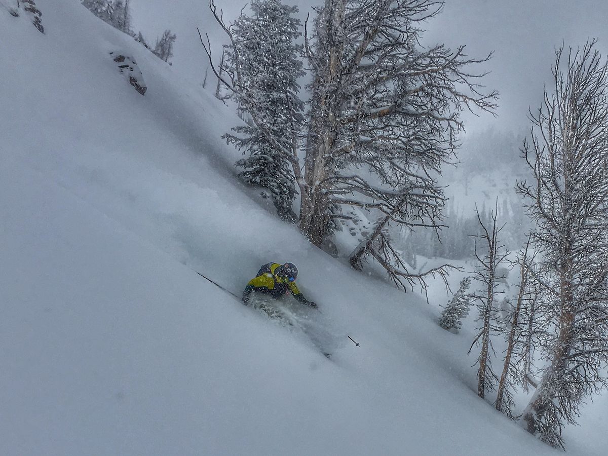Storm Skiing in Jackson Hole