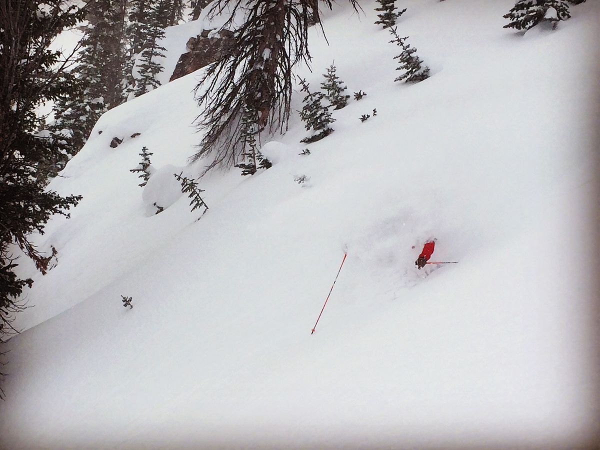 Out of Bounds, Jackson Hole 1.jpg