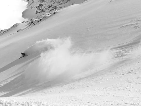 ARG Conner 3 Pigs medium res B&W.jpg