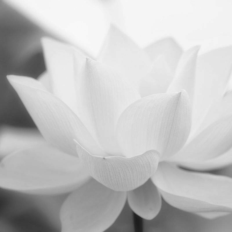 clean-beauty-products