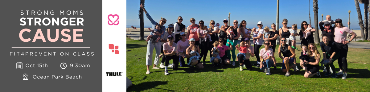 Copy of FRAN - TEMP - Strong Moms Stronger Cause -  Header.png