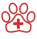 Pet Care Icon