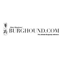Burghound-Banner-800x800-300x300.png