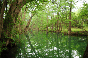 bluehole056.gif