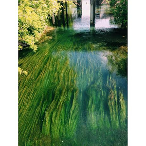 unnamed (8).jpg