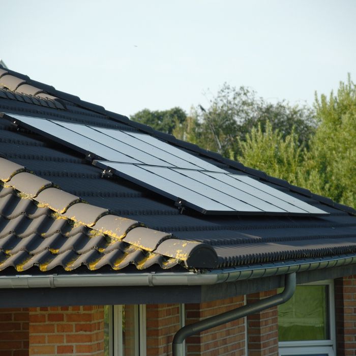 Many solar panels installed on a black roof