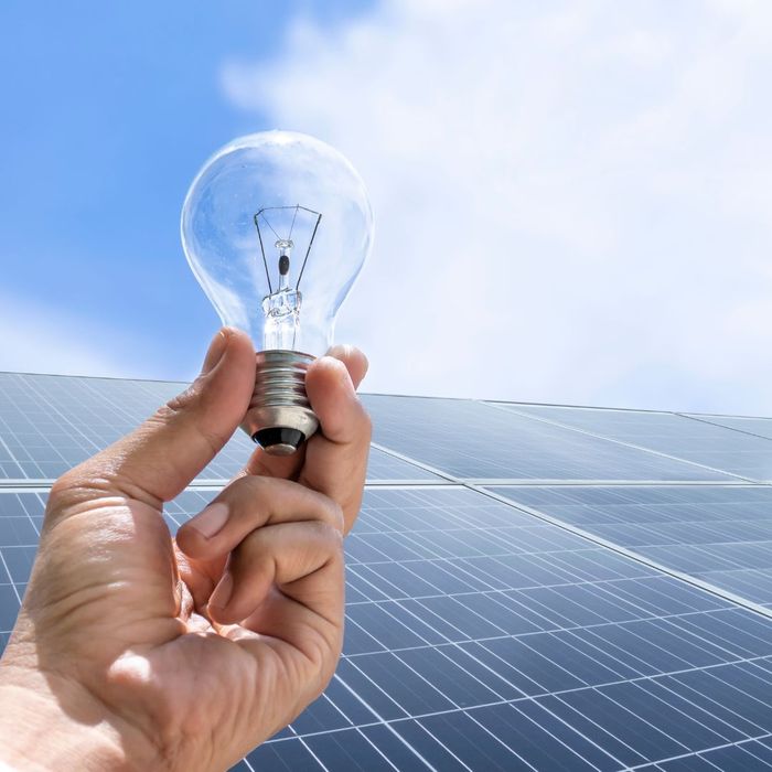 a person holding a lightbulb in front of solar panels