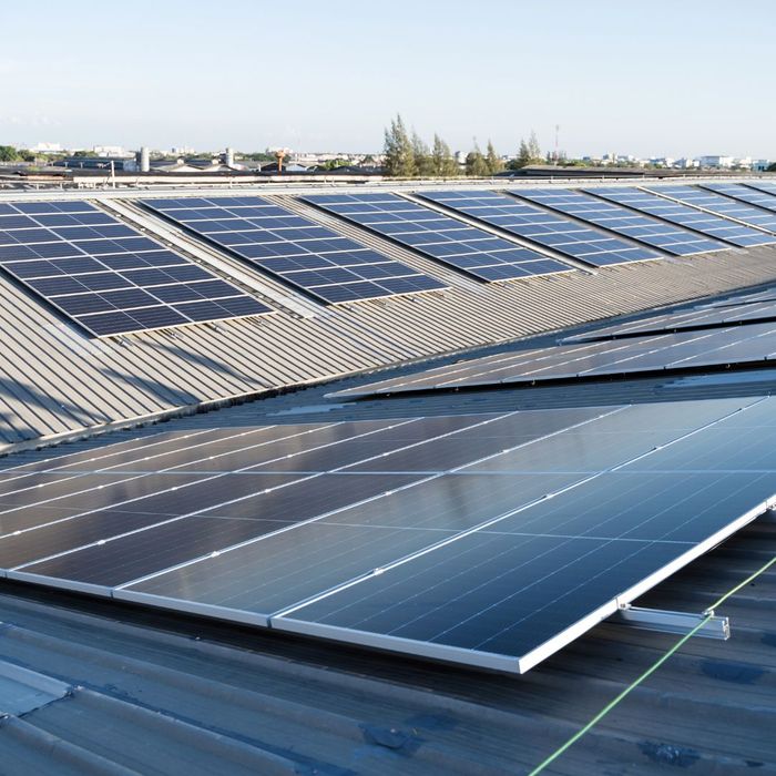 solar panels on a business roof