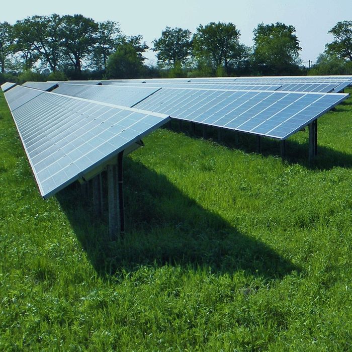 Solar panels in a field