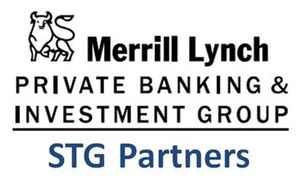 STG Group New.jpg