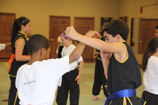 Youth Martial Arts Programs