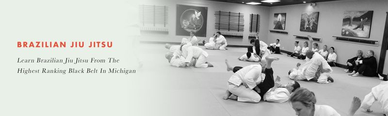 School of Martial Arts facility image