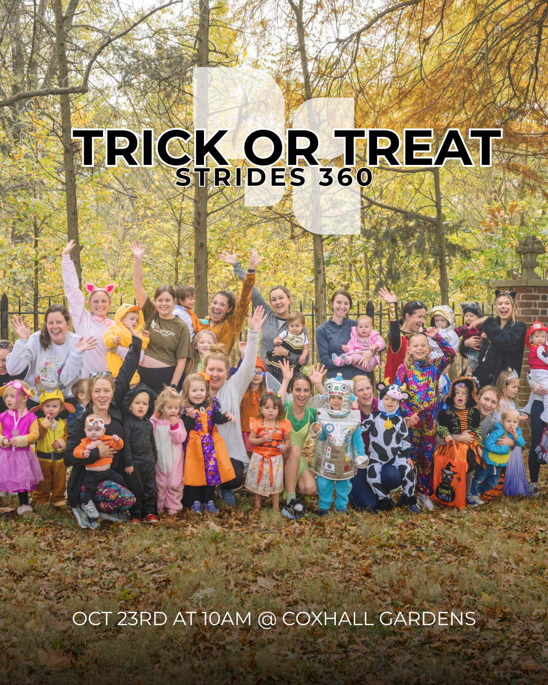 trick or treat 360.png