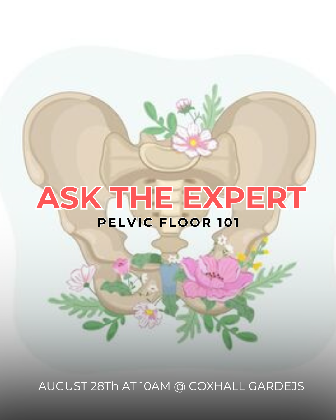 PELVIC FLOOR 101.png