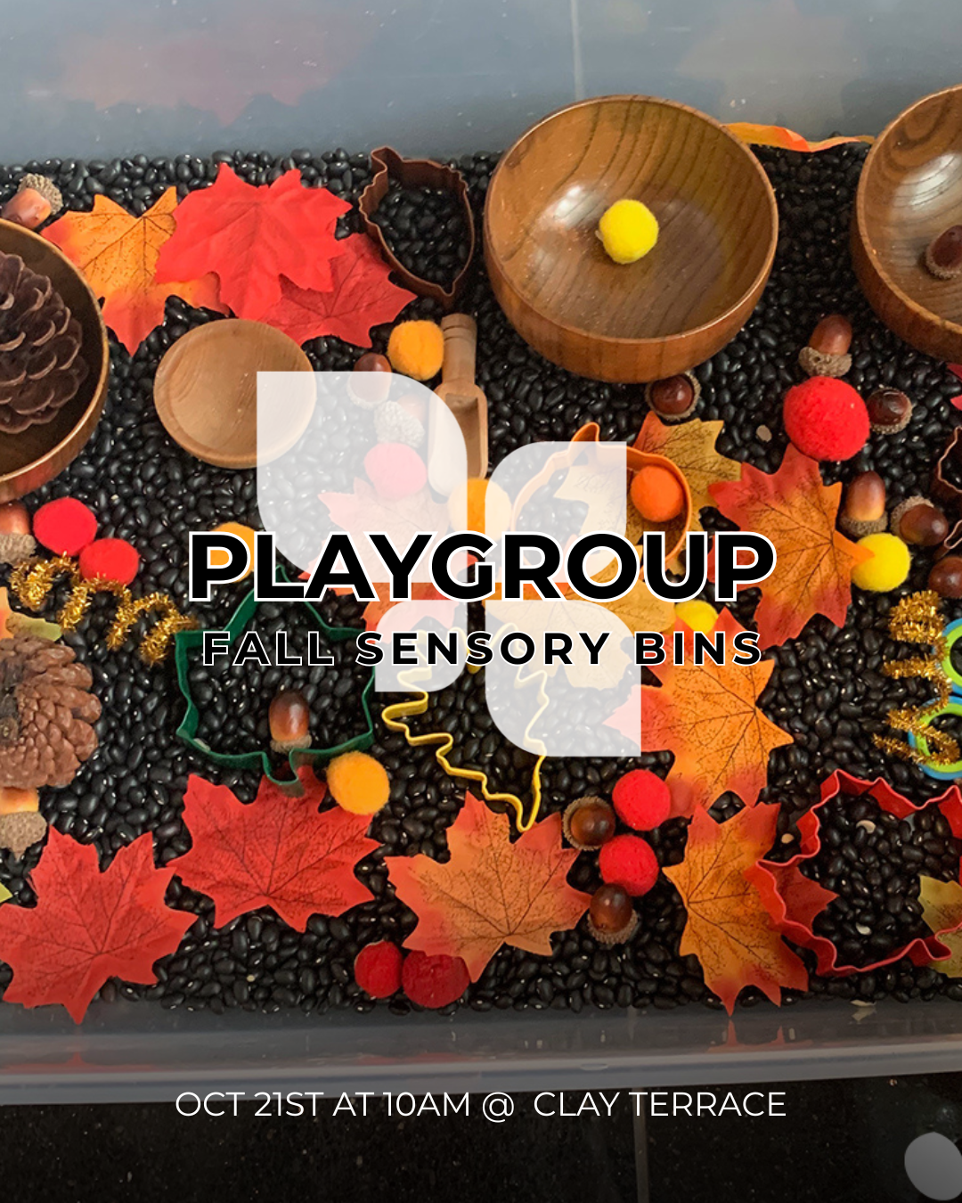 _FALL PLAYGROUP.png