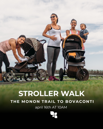STROLLER WALK.png