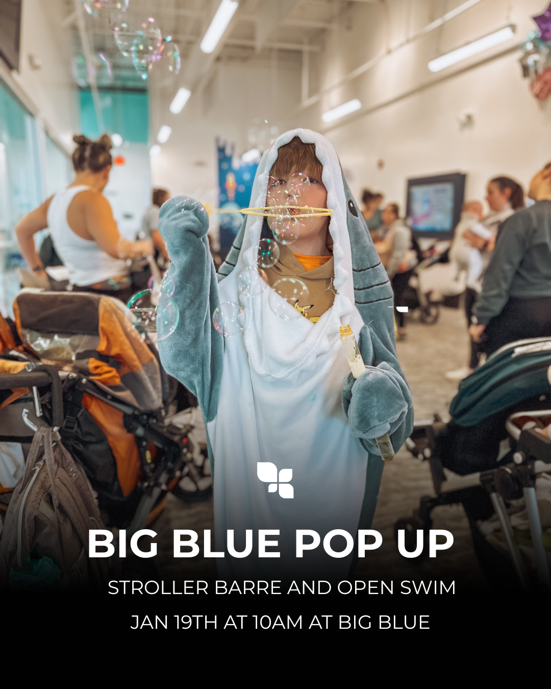 Copy of Newsletter Squares (46).png