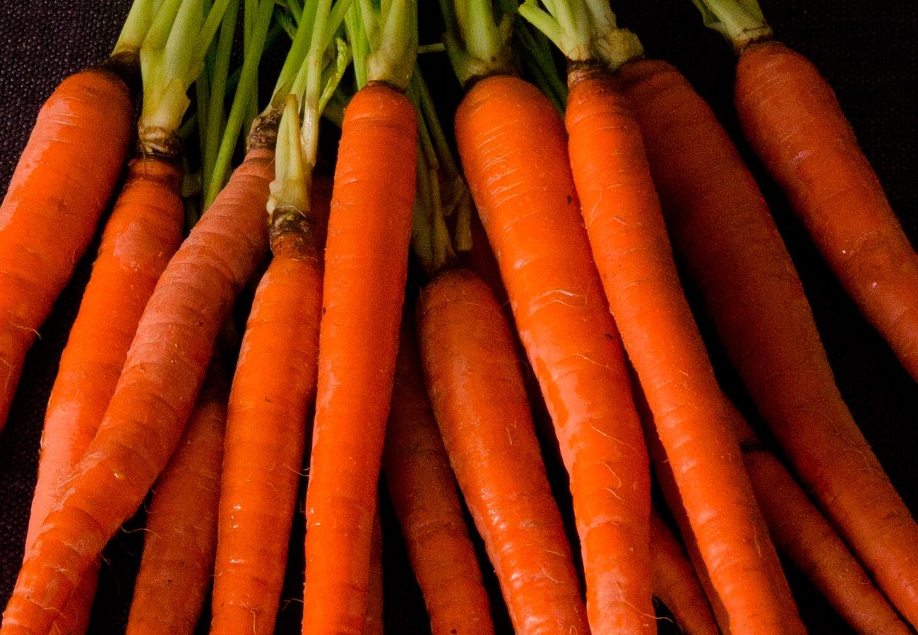 carrots_web.jpg