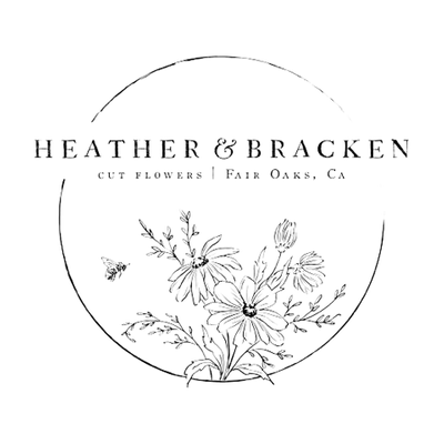 Heather_Bracken_Logo.png