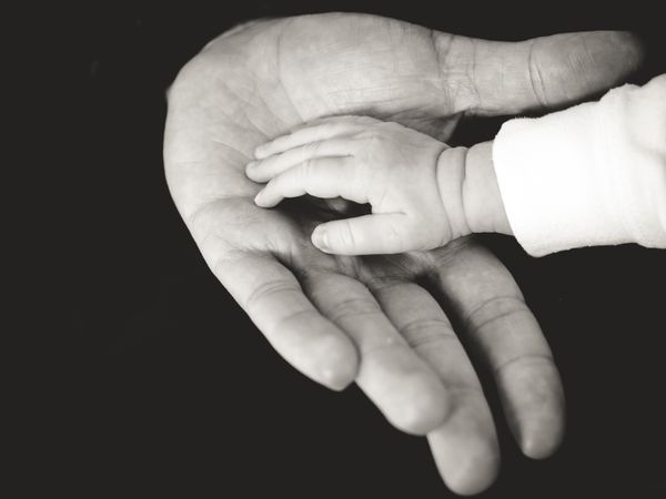 Child's Hand in Parent's (liane-metzler).jpg