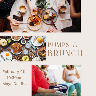 bumps and brunch oak park for expecting moms.png