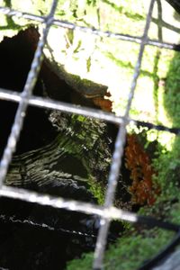 IMG_7725.jpg