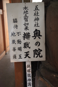IMG_6579.jpg