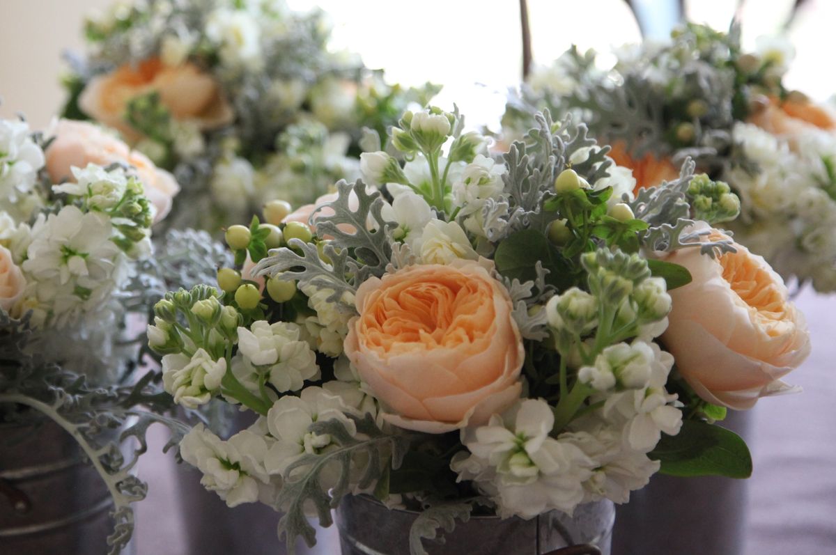 IMG_7645 - バージョン 2.JPG