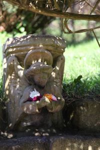 IMG_7745.jpg