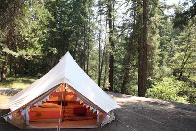 glamping in shasta