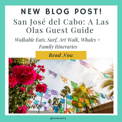 las olas guest guide