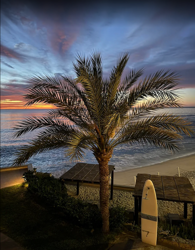las olas condos beachfront vacation las olas condos beachfront vacation