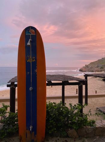 san jose del cabo art walk zippers surf break
