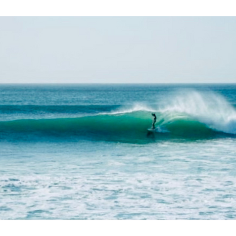 zippers surfing san Jose del cabo