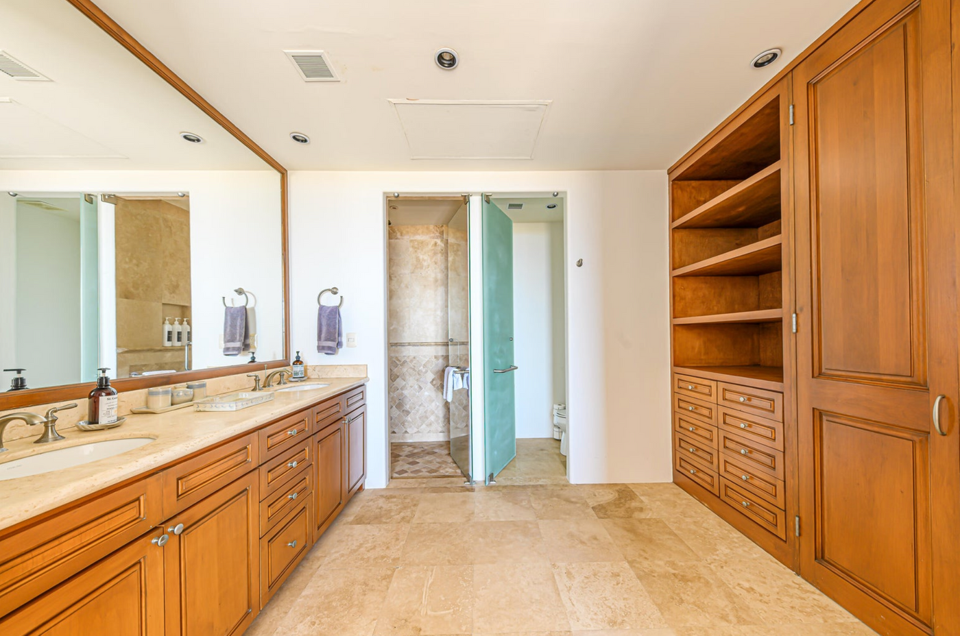 houses for sale san jose del cabo