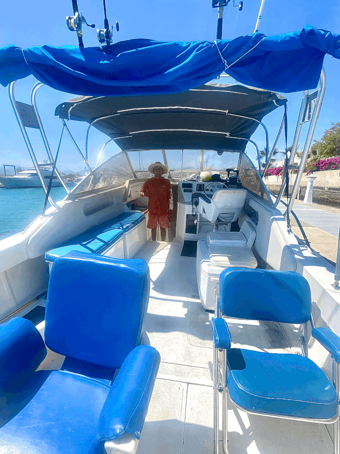 san jose del cabo fishing
