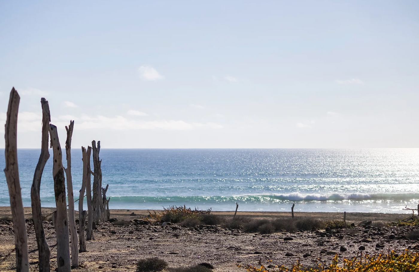 scorpion bay real estate