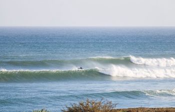 scorpion bay mexico