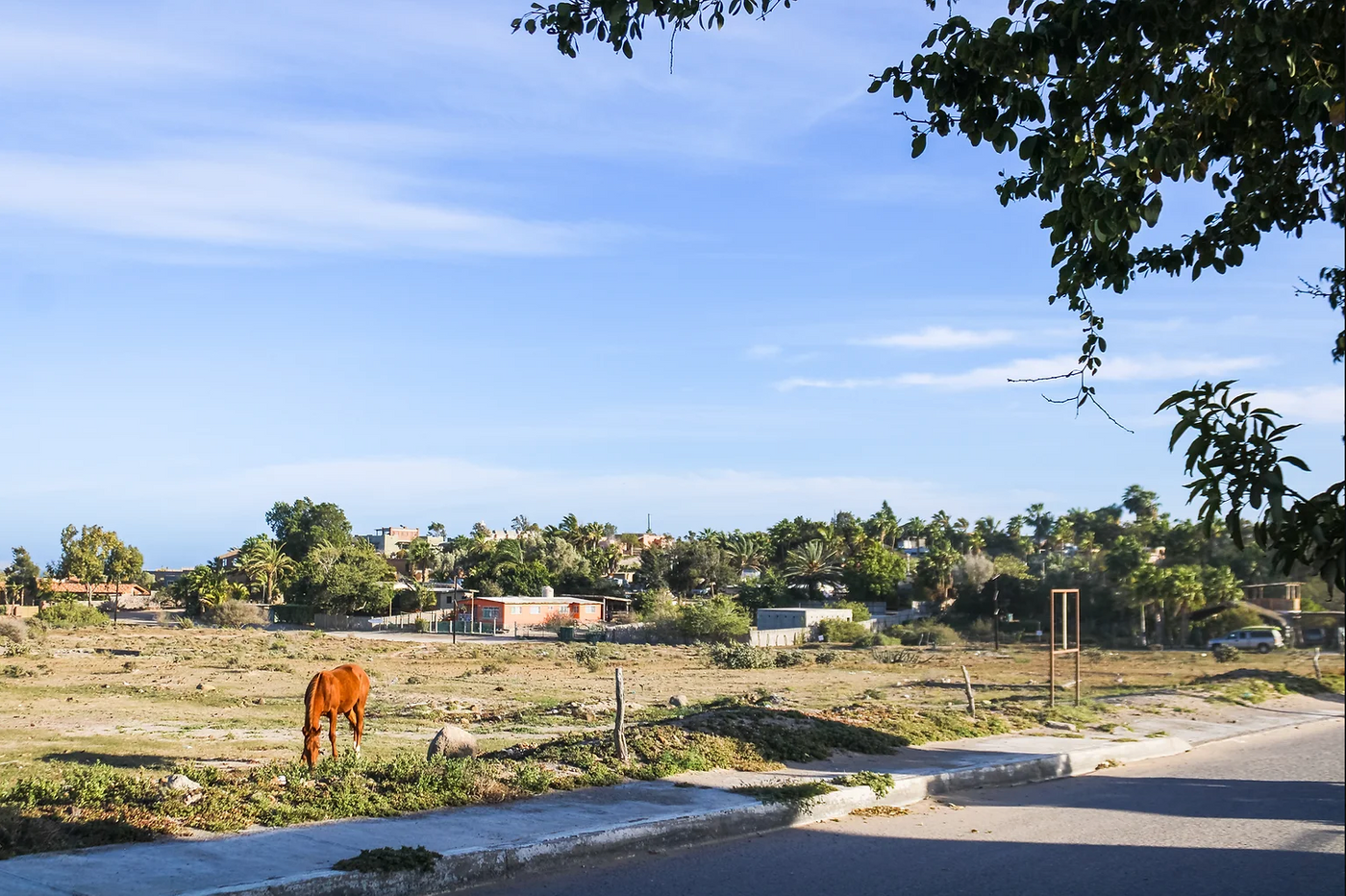 scorpion bay real estate