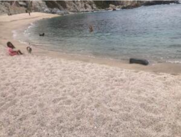 Luxury Cabo Villa for Sale