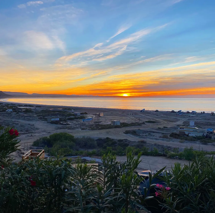 scorpion bay baja surf