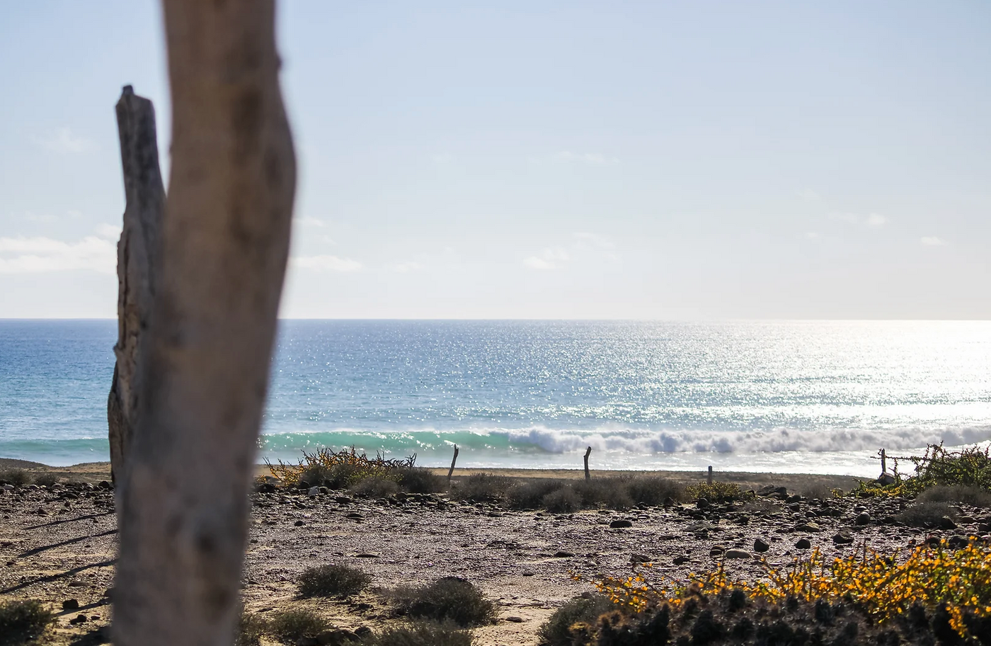 scorpion bay real estate