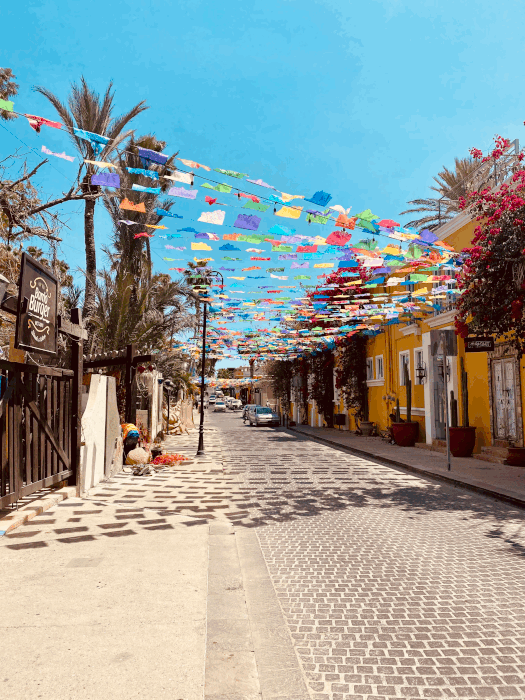 art walk san jose del cabo art walk san jose del cabo