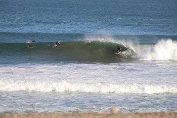 scorpion bay mexico