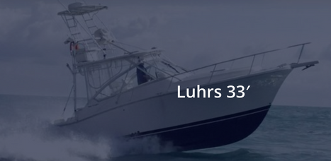 cabo yacht rentals