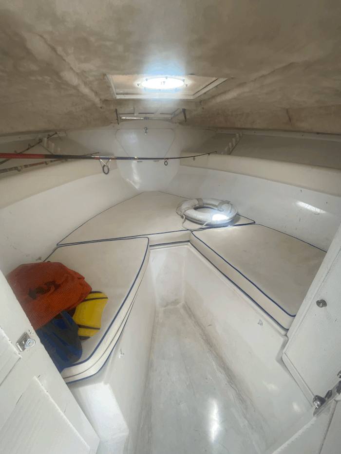 san jose del cabo fishing san jose del cabo fishing