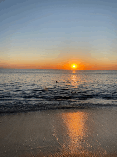 swimmable beach cabo